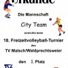 Malsch2014